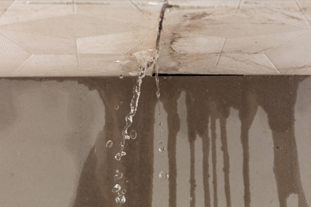 Professional Water Damage Inspection technician working in North Palm Beach, FL
